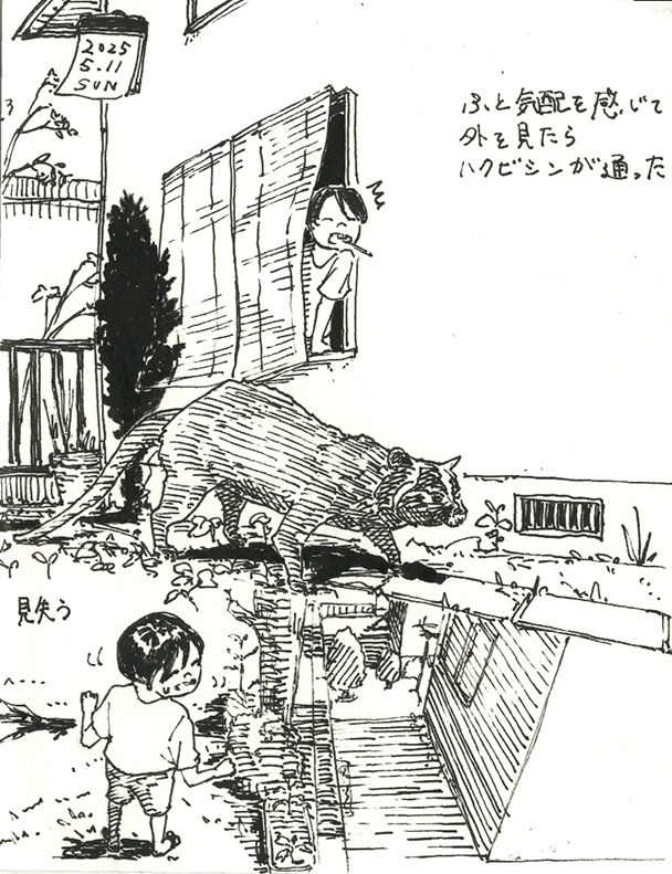 hakubishin